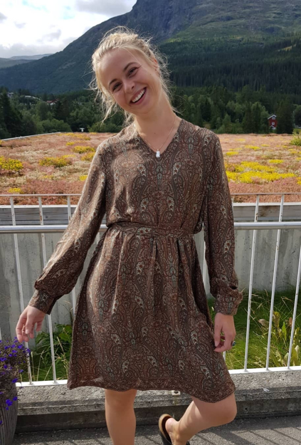 Bilde av ANEMONE KJOLE WALNUT DRESS