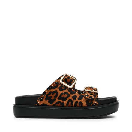 Bilde av STEVE MADDEN FREELANCE LEOPARD