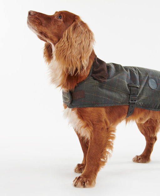 Bilde av BARBOUR DOG WAX COAT